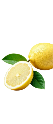 lemon background,meyer lemon,limonana,lemon peel,lemon,poland lemon,slice of lemon,half slice of lemon,lemon wallpaper,lemon tree,lemon half,lemon lemon,lemon pattern,citron,hot lemon,lemons,lemon juice,lemon slices,dried-lemon,valencia orange,Illustration,Vector,Vector 17