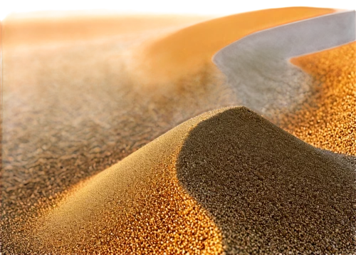 soybean oil,amaranth grain,soybeans,sand texture,sand seamless,cereal grain,grains,wheat grain,khorasan wheat,granulated sugar,triticum durum,grain field panorama,shifting dune,admer dune,namib,namib desert,field of cereals,sand dune,grain harvest,dune landscape,Illustration,Black and White,Black and White 19