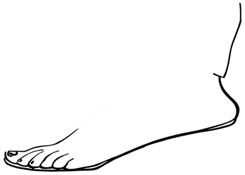 reflex foot sigmoid,foot reflex zones,reflex foot esophagus,foot reflexology,foot reflex,foot model,foot,reflex foot kidney,left foot,ankle,toe,the foot,sandal,foots,foot steps,feet,shoe foot,pedicel,shoes icon,children's feet,Conceptual Art,Daily,Daily 03