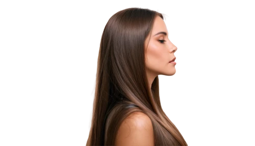 management of hair loss,artificial hair integrations,oriental longhair,asian semi-longhair,hair shear,asymmetric cut,british semi-longhair,argan,shoulder length,jojoba oil,lace wig,smooth hair,profile,argan tree,follicle,hair loss,half profile,almond oil,layered hair,length,Illustration,Abstract Fantasy,Abstract Fantasy 08