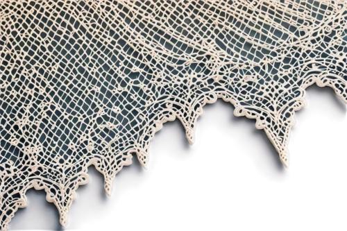 lace border,paper lace,vintage lace,royal lace,shawl,lace borders,doily,lace,dishcloth,woven fabric,cockscomb,fishing net,macrame,textile,gold foil lace border,fabric texture,rope detail,crochet pattern,fishing nets,openwork frame,Illustration,Realistic Fantasy,Realistic Fantasy 04