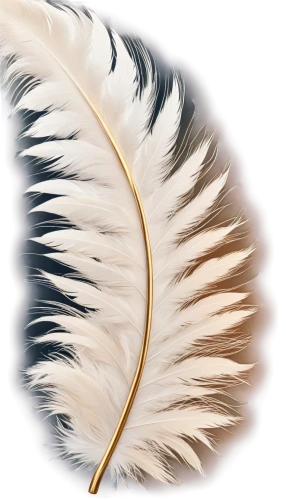 hawk feather,chicken feather,swan feather,feather headdress,white feather,feather jewelry,peacock feather,ostrich feather,pigeon feather,bird feather,prince of wales feathers,feather,beak feathers,peacock feathers,feather bristle grass,parrot feathers,feathers,black feather,feathers bird,feather pen,Illustration,Realistic Fantasy,Realistic Fantasy 21