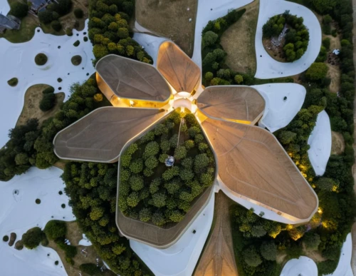 aerial view umbrella,magnolia star,overhead shot,magnolia,magnolia blossom,magnolia flower,aerial landscape,from above,view from above,bird's eye view,magnolia flowers,overhead view,giant water lily,aurora butterfly,tulip festival,olympic flame,falling flowers,aerial shot,flower carpet,flying seeds