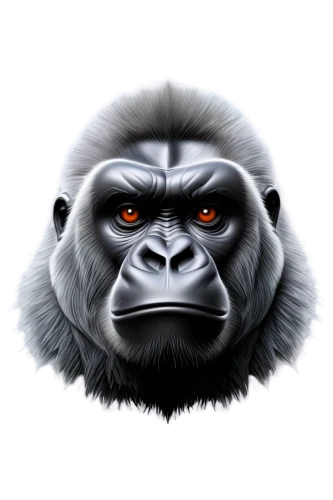 gorilla,silverback,primate,ape,chimp,baboon,kong,chimpanzee,king kong,great apes,gibbon 5,monkey,the monkey,primates,siamang,orangutan,cougnou,common chimpanzee,bonobo,animal icons,Illustration,American Style,American Style 14