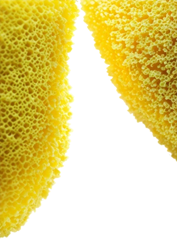 sponges,lemon wallpaper,luffa,lemon background,lemon beebrush,sponge,lemon peel,brigadeiros,pollen panties,dried-lemon,parmesan wafers,pollen warehousing,pollen,muskmelon,osage orange,semolina,coxinha,yellow fruit,dried lemon slices,cockscomb,Illustration,Realistic Fantasy,Realistic Fantasy 06