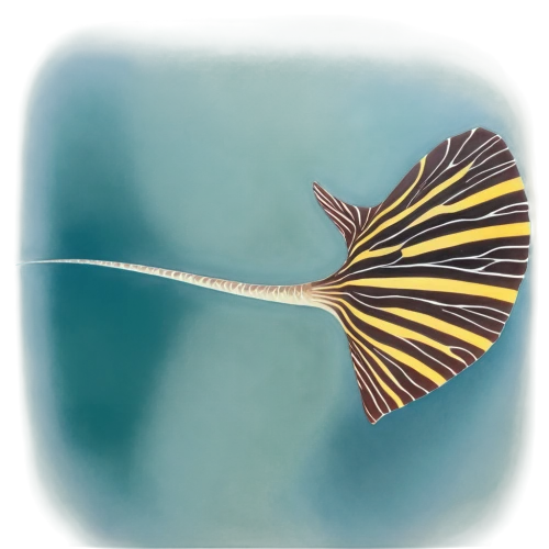 butterfly fish,butterflyfish,angelfish,mandarinfish,ramphastidae,sailfish,euphydryas,pterois,lemon butterflyfish,golden angelfish,imperator angelfish,tipulidae,ramphocelus bresilius,hesperia (butterfly),chloris chloris,limnephilidae,papilio,brush-footed butterfly,lymantriidae,illustration,Conceptual Art,Oil color,Oil Color 13