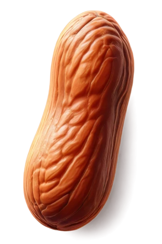 mitochondrion,almonds,pecan,almond nuts,mitochondria,unshelled almonds,italian nuts,almond,chocolate-coated peanut,salted almonds,kidney bean,pine nuts,walnut,indian almond,tree nut,isolated product image,pine nut,praline,pralines,soy nut,Conceptual Art,Fantasy,Fantasy 21