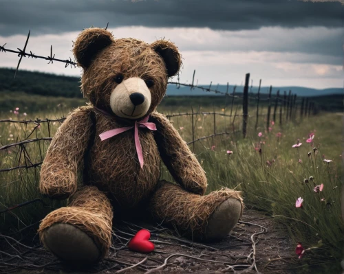 teddy bear waiting,teddy bear crying,teddy-bear,bear teddy,teddy bear,3d teddy,teddybear,cute bear,teddy,scandia bear,bear,teddy bears,plush bear,children's background,cuddly toys,little bear,lonely child,brown bear,stop children suicide,orphaned,Photography,Documentary Photography,Documentary Photography 18