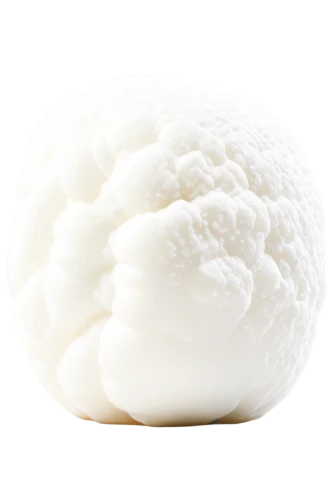 meringue,cloud mushroom,egg white snow,sheep milk cheese,burrata,fragrant snowball,sheep cheese,mozzarella,white cabbage,cauliflower,edible mushroom,ricotta,ugali,mozarella,burmilla,sheep milk soap,lingzhi mushroom,soft cheese,egg white,hericium,Photography,Fashion Photography,Fashion Photography 23