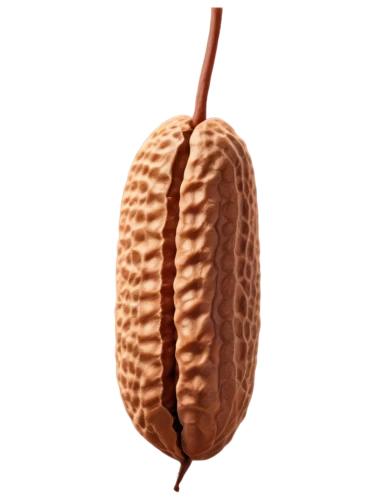 pecan,indian almond,almond,aesculus,almonds,walnuts,almond nuts,walnut,apricot kernel,acorn,chokladboll,juglans,chocolate-coated peanut,carob,cocoa beans,unshelled almonds,cocos nucifera,a fruit chestnut,aesculus hippocastanum,chile de árbol,Photography,Black and white photography,Black and White Photography 02