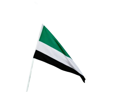 united arab emirates flag,saudi arabia,flag of uae,sudan,uae flag,united arab emirate,flag of iran,omani,national flag,hd flag,race flag,green sail black,race track flag,persian gulf,khobar,iran,libya,uae,yemeni,patrol,Illustration,Realistic Fantasy,Realistic Fantasy 26