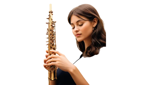 woodwind instrument,wind instrument,woodwind instrument accessory,flautist,oboist,bowed instrument,wind instruments,bass oboe,oboe,flute,clarinetist,bamboo flute,transverse flute,block flute,the flute,clarinet,western concert flute,double reed,bassoon,musical instrument accessory,Illustration,Black and White,Black and White 15