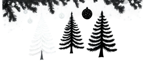 fir trees,silvertip fir,fir tree silhouette,spruce trees,fir tree decorations,spruce-fir forest,pine trees,snow in pine trees,fir needles,nordmann fir,snow trees,fir forest,evergreen trees,fir tree,coniferous,spruce tree,spruce,spruce forest,coniferous forest,spruce cones,Art,Classical Oil Painting,Classical Oil Painting 34