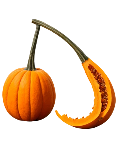 calabaza,candy pumpkin,cucurbit,cucurbita,halloween pumpkin gifts,decorative pumpkins,funny pumpkins,scarlet gourd,cucuzza squash,halloween pumpkin,bitter gourd,gourd,pumkin,gourds,hokkaido pumpkin,ornamental gourds,pumpkin,figleaf gourd,decorative squashes,pumkins,Illustration,Realistic Fantasy,Realistic Fantasy 04