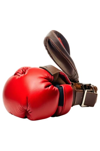 boxing equipment,boxing glove,boxing gloves,striking combat sports,professional boxing,combat sport,boxing,shoot boxing,punching bag,boxing ring,kickboxing,professional boxer,the hand of the boxer,muay thai,sanshou,knockout punch,boxer,lethwei,football glove,sports equipment,Illustration,Vector,Vector 15