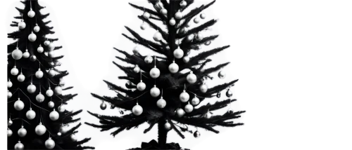 fir tree silhouette,fir needles,fir trees,pine trees,conifers,spruce trees,spruce-fir forest,coniferous,silvertip fir,shortleaf black spruce,nordmann fir,conifer,colorado spruce,pine tree,black pine,fir tree,pine-tree,christmas tree pattern,evergreen trees,canadian fir,Conceptual Art,Sci-Fi,Sci-Fi 02