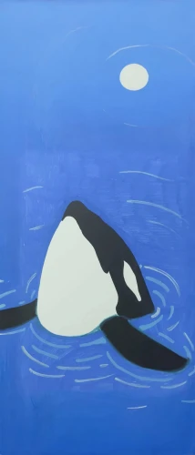 orca,killer whale,pilot whale,pot whale,whale,northern whale dolphin,baby whale,little whale,whale cow,cetacean,porpoise,short-finned pilot whale,marine mammal,whale fluke,whales,avocet,cetacea,yinyang,whale calf,toothed whale