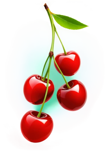 cherries,bladder cherry,great cherry,cherry branch,heart cherries,jewish cherries,sweet cherries,wild cherry,sour cherries,cherry,sour cherry,fire cherry,cherry plum,cherries in a bowl,cornelian cherry,ornamental cherry,oregon cherry,sweet cherry,hill cherry,red plum,Art,Artistic Painting,Artistic Painting 45