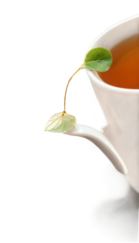 consommé cup,peppermint tea,tea zen,herbal tea,herb tea,scented tea,houkui tea,consommé,ginger tea,white tea,tea leaf,chinese herb tea,darjeeling tea,tea,maojian tea,assam tea,ceylon tea,jasmine tea,tea bag,a cup of tea,Conceptual Art,Graffiti Art,Graffiti Art 02