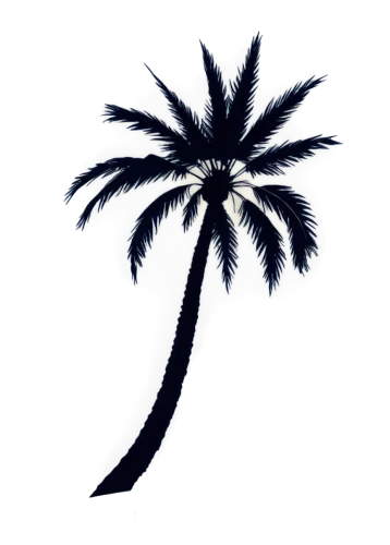 palm tree vector,palm tree silhouette,palm tree,palmtree,palm,palm silhouettes,coconut palm tree,coconut tree,cartoon palm,palm leaves,coconut palm,palms,palmtrees,coconut palms,palm in palm,palm trees,pony tail palm,palm fronds,palm pasture,palm blossom,Art,Artistic Painting,Artistic Painting 37