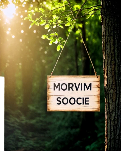 morinda,serin,sorbus,scow,softwood,spevavý,logo header,wood-sorrel,society finch,social service,ecological sustainable development,mountain spirit,morschach,spruce shoot,spruce forest,sporting group,wooden mockup,banner set,movax,moor,Illustration,Japanese style,Japanese Style 21