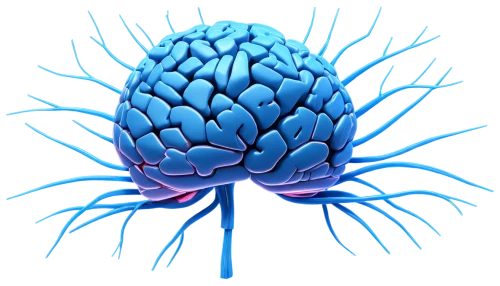 brain icon,blue chrysanthemum,cancer logo,cerebrum,growth icon,cyanus cornflower,biosamples icon,neurath,nerve cell,cynara,magnetic resonance imaging,artichoke thistle,synapse,cancer illustration,prostate cancer,medical illustration,sugar apple,neurons,grape seed extract,custard-apple,Conceptual Art,Daily,Daily 26