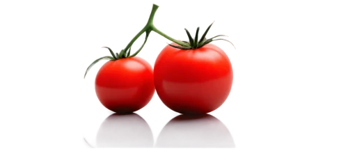 red bell peppers,red bell pepper,red tomato,red peppers,plum tomato,roma tomato,roma tomatoes,tomatoes,red pepper,a tomato,greed,italian sweet pepper,tomato,small tomatoes,cocktail tomatoes,capsicums,cherry tomatoes,caprese,tomatos,sweet peppers,Illustration,Vector,Vector 09
