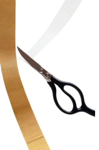 bamboo scissors,fabric scissors,pair of scissors,curved ribbon,shears,razor ribbon,diagonal pliers,scissors,gold foil laurel,gold ribbon,ribbon (rhythmic gymnastics),serrated blade,slip joint pliers,needle-nose pliers,ribbon symbol,award ribbon,tweezers,tongue-and-groove pliers,traditional bow,colorpoint shorthair,Art,Artistic Painting,Artistic Painting 27