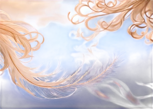 violet evergarden,sunburst background,chrysanthemum background,dandelion background,fluttering hair,wind wave,mermaid background,spiral background,angel wing,angel wings,wind,white feather,angel's tears,portrait background,feather,jessamine,feathers,wind edge,butterfly background,birthday banner background,Photography,Fashion Photography,Fashion Photography 04