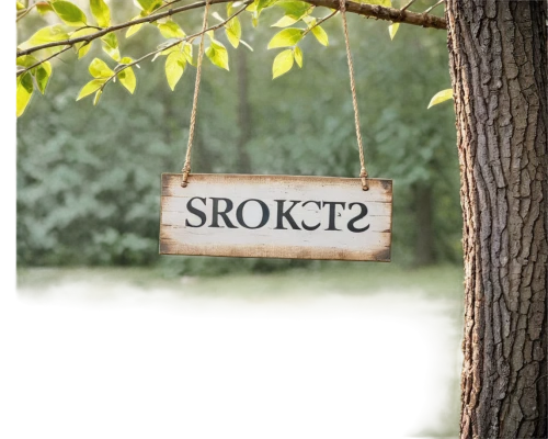 smoketree,tree signboard,skirret,wooden sign,tree with swing,stroboskob,wooden signboard,streetsign,socket,wooden tags,birch tree background,signpost,forest background,directional sign,schnecken,skogar,körcikkely,strohüte,street sign,skovvej,Illustration,American Style,American Style 11