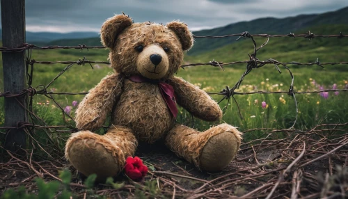 teddy bear waiting,teddy-bear,teddy bear crying,teddy bear,bear teddy,teddybear,teddy,teddy bears,3d teddy,cute bear,teddies,valentine bears,cuddly toys,bear guardian,cuddly toy,bear,scandia bear,plush bear,orphaned,romantic portrait,Illustration,Retro,Retro 23
