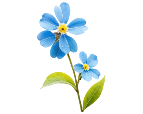 flowers png,alpine forget-me-not,forget-me-not,blue flower,forget-me-nots,mountain bluets,myosotis,dayflower,forget me nots,blue flowers,blue flax,blue petals,wood daisy background,flower background,linum bienne,minimalist flowers,blue daisies,forget me not,water forget me not,anemone blanda,Illustration,Realistic Fantasy,Realistic Fantasy 18