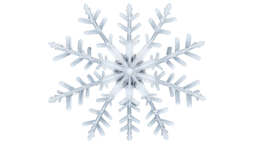 snowflake background,christmas snowflake banner,snow flake,white snowflake,snowflake,wreath vector,blue snowflake,ice crystal,snowflakes,summer snowflake,snow drawing,gold foil snowflake,christmas snowy background,snow tree,red snowflake,christmas tree pattern,winter background,fire flakes,winter aster,crystalline,Illustration,Black and White,Black and White 15