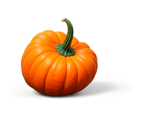 calabaza,candy pumpkin,cucurbita,halloween pumpkin,pumpkin,decorative pumpkins,hokkaido pumpkin,halloween pumpkin gifts,pumkin,scarlet gourd,cucurbit,pumpkin autumn,pumkins,gem squash,jack-o'-lantern,gourd,pumpkin lantern,white pumpkin,winter squash,cucuzza squash,Illustration,Retro,Retro 16