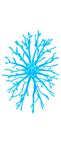 snowflake background,nerve cell,neurons,spirography,blue snowflake,palm tree vector,neural network,connective tissue,cleanup,axons,tangle,generated,coral fungus,spirit network,om,rhizome,snow flake,christmas snowflake banner,neurath,vector image,Art,Artistic Painting,Artistic Painting 32