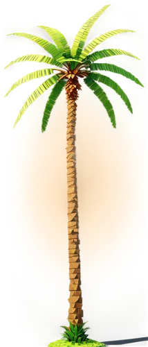 palm tree vector,palmtree,palm tree,cartoon palm,coconut palm tree,giant palm tree,coconut tree,potted palm,palm,desert palm,fan palm,coconut palm,palm in palm,wine palm,easter palm,palmtrees,tropical tree,palm pasture,toddy palm,palm tree silhouette,Unique,Pixel,Pixel 03