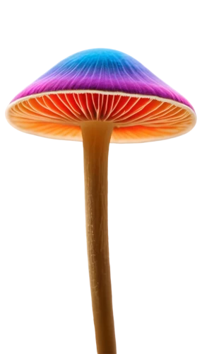 anti-cancer mushroom,mushroom type,forest mushroom,champignon mushroom,tree mushroom,agaric,mushroom,lingzhi mushroom,mushroom landscape,amanita,umbrella mushrooms,club mushroom,toadstool,mushroom hat,toadstools,agaricaceae,cubensis,yellow mushroom,blue mushroom,small mushroom,Conceptual Art,Oil color,Oil Color 16