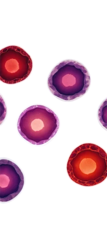 blood cells,red blood cells,cells,blood cell,erythrocyte,circles,agate,cell division,mitosis,blobs,slices,flora abstract scrolls,globules,ellipses,flaccid anemone,circle paint,red-purple,spores,plasma,saturnrings,Illustration,Realistic Fantasy,Realistic Fantasy 17