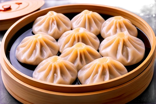 xiaolongbao,steamed dumplings,dumplings,shrimp dumplings,dim sum,jiaozi,dimsum,baozi,shumai,dim sim,cha siu bao,bánh bao,huaiyang cuisine,dumpling,chinese strahlengriffel,mandu,khinkali,spinach dumplings,chinese cuisine,zhajiangmian,Conceptual Art,Sci-Fi,Sci-Fi 04