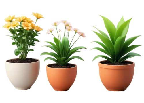 potted plants,potted flowers,ornamental plants,flowers png,plants in pots,plant pots,potted palm,flower pots,flower vases,flowerpots,outdoor plants,exotic plants,funeral urns,house plants,container plant,perennial plants,peace lilies,day lily plants,terracotta flower pot,plant pot,Illustration,Japanese style,Japanese Style 10