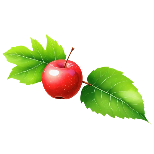 cherry branch,bladder cherry,great cherry,apple pie vector,apple logo,cherry plum,cherries,wild cherry,cherry,apple icon,hill cherry,cherry twig,oregon cherry,wild apple,lingonberry,chokecherry,jewish cherries,rowanberries,acerola,red plum,Illustration,Paper based,Paper Based 18