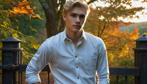 danila bagrov,male model,senior photos,autumn photo session,autumn background,dress shirt,spevavý,the amur adonis,austin stirling,male elf,amur adonis,photo session in torn clothes,boy model,handsome model,young model,white shirt,stehlík,in the fall,in the autumn,podjavorník,Art,Artistic Painting,Artistic Painting 39