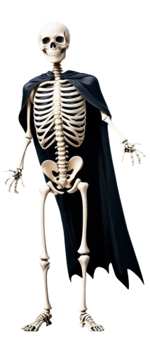 skeleltt,skeletal,calcium,skeleton,human skeleton,vintage skeleton,skeletal structure,bone,skeletons,bones,skull bones,bowl bones,wood skeleton,png image,skeleton hand,endoskeleton,day of the dead skeleton,scull,danse macabre,aaa,Illustration,Realistic Fantasy,Realistic Fantasy 25