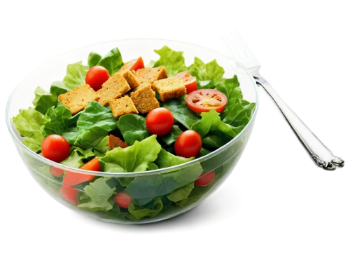 cut salad,side salad,salad,green salad,spinach salad,salad plate,mixed salad,israeli salad,chinese chicken salad,salads,greek salad,fattoush,salad garnish,saladitos,cobb salad,vegetable salad,caesar salad,farmer's salad,tuna salad,salad platter,Illustration,Paper based,Paper Based 10