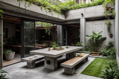 garden design sydney,landscape design sydney,landscape designers sydney,house plants,bamboo plants,courtyard,roof garden,asian architecture,garden of plants,zen garden,exposed concrete,hanging plants,cubic house,patio,concrete slabs,outdoor table and chairs,tropical house,japanese architecture,breakfast room,inside courtyard