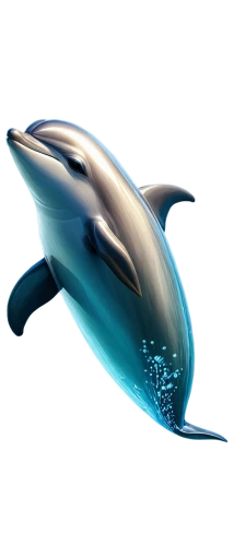 dolphin,northern whale dolphin,blue whale,spinner dolphin,the dolphin,cetacean,porpoise,whale,dolphin-afalina,whale fluke,baby whale,pilot whale,dolphin background,spotted dolphin,flipper,short-finned pilot whale,oceanic dolphins,striped dolphin,banana dolphin,pot whale,Conceptual Art,Graffiti Art,Graffiti Art 04