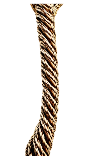 jute rope,rope,steel rope,twisted rope,rope brush,hanging rope,noose,fastening rope,rope detail,iron rope,hemp rope,human leg,climbing rope,elastic rope,natural rope,rope knot,woven rope,rope (rhythmic gymnastics),leg bone,wire rope,Illustration,Vector,Vector 04