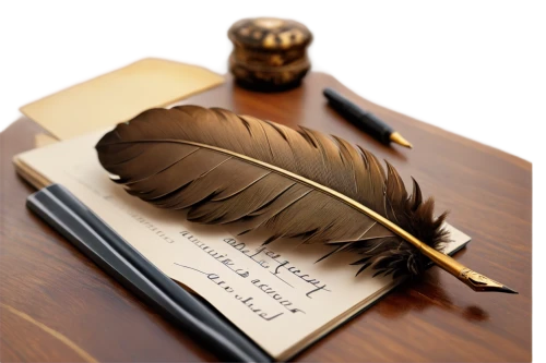 feather pen,hawk feather,feather jewelry,black feather,writing instrument accessory,quill pen,peacock feather,prince of wales feathers,feather,writing accessories,bird feather,chicken feather,white feather,beak feathers,feather headdress,swan feather,writing implement,pigeon feather,raven's feather,feathers,Conceptual Art,Daily,Daily 19