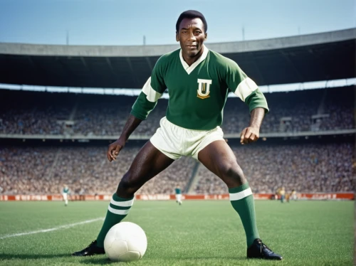 zambia,nigeria,nigeria ngn,african man,soccer world cup 1954,zambia zmw,senegal,13 august 1961,1971,cameroon,green congo,1967,saint patrick,benin,ghana,anglo-nubian goat,footballer,soccer player,afro american,1965,Art,Artistic Painting,Artistic Painting 28