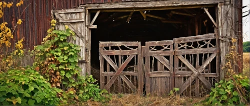 old barn,old door,farm gate,garden shed,sheds,shed,barn,field barn,rusty door,iron door,boat shed,horse barn,horse stable,chicken coop door,farm hut,wooden door,antique construction,rusting,outhouse,wood gate,Conceptual Art,Fantasy,Fantasy 26